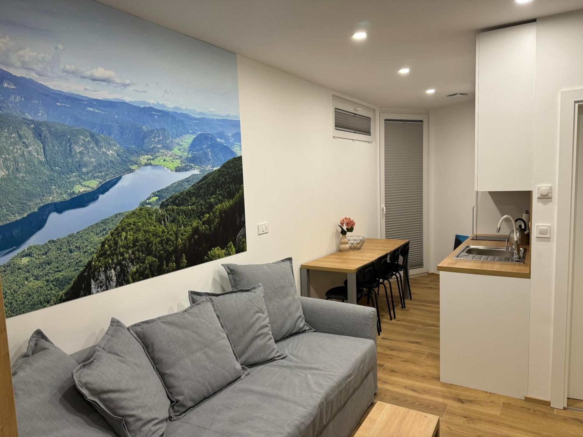 Apartma Tisa Bohinj-No Ouside Windows Экстерьер фото