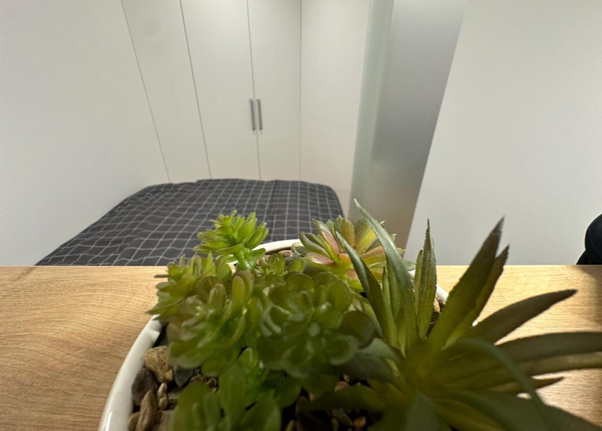 Apartma Tisa Bohinj-No Ouside Windows Экстерьер фото